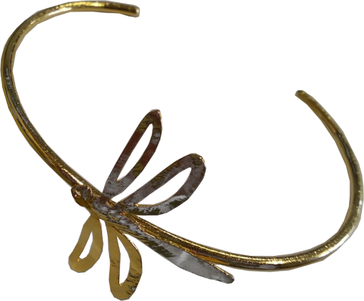 Polsera pulsera bracelet libelulas insectos