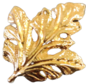 Hoja, feuille, leaf, foglio