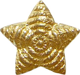 Star starfish &nbsp;