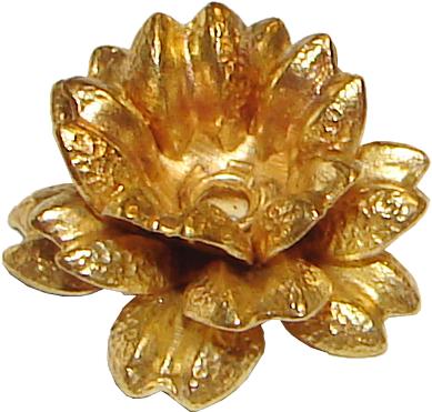 rose filigree flower filigree