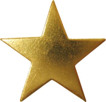 Star starfish &nbsp;