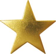 Star starfish &nbsp;