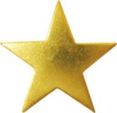 Star starfish &nbsp;