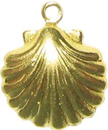 seashell pendant