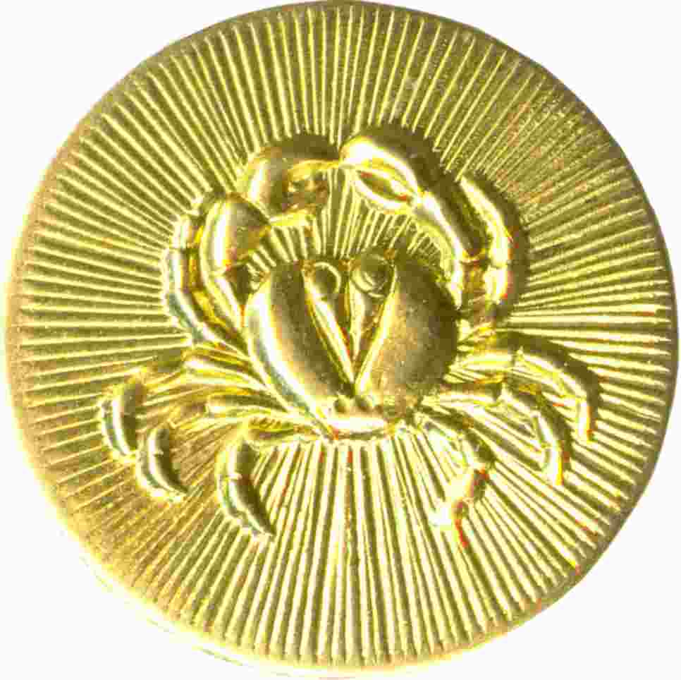 horoscopos discos discks circle astrology horoscope & zodiac charms