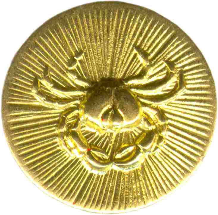 horoscopos discos discks circle astrology horoscope & zodiac charms