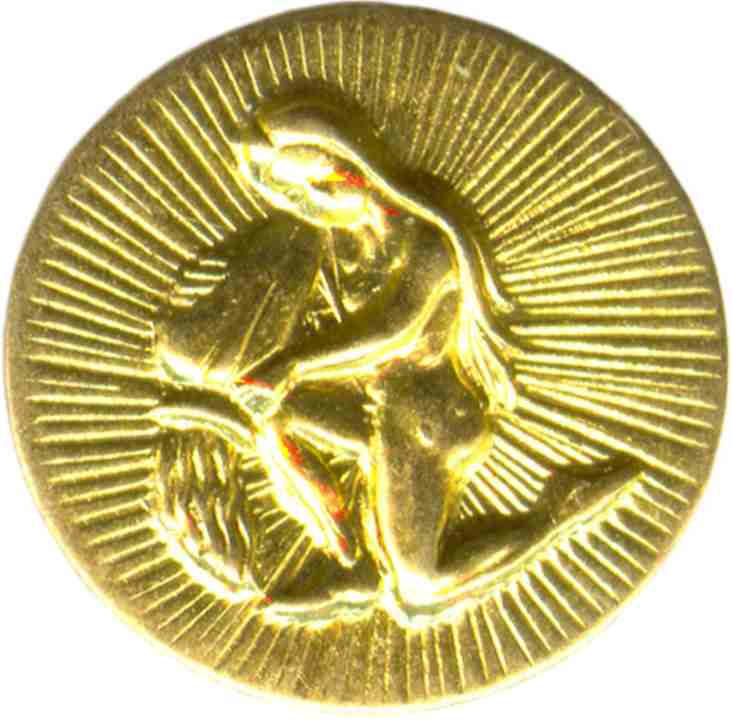 horoscopos discos discks circle astrology horoscope & zodiac charms