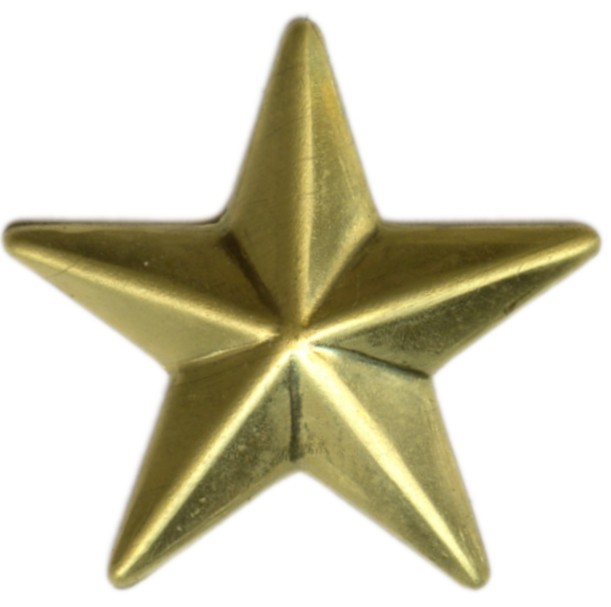 Star starfish