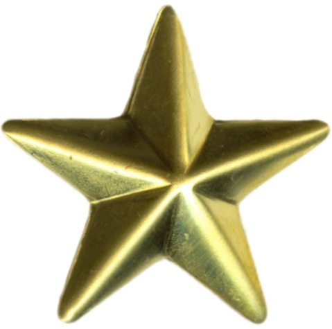 Star starfish 