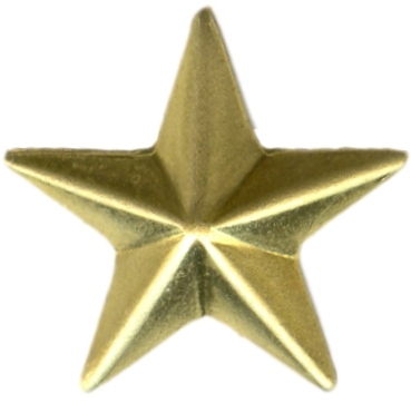 Star starfish 
