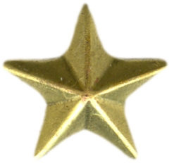 Star starfish 