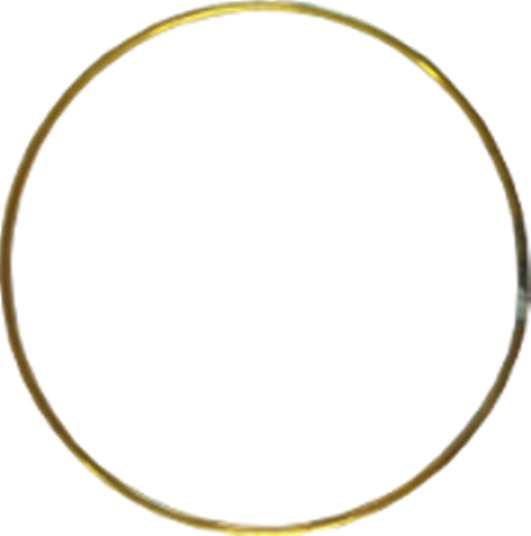 pendants hoop flamenca hoop earrings criollas