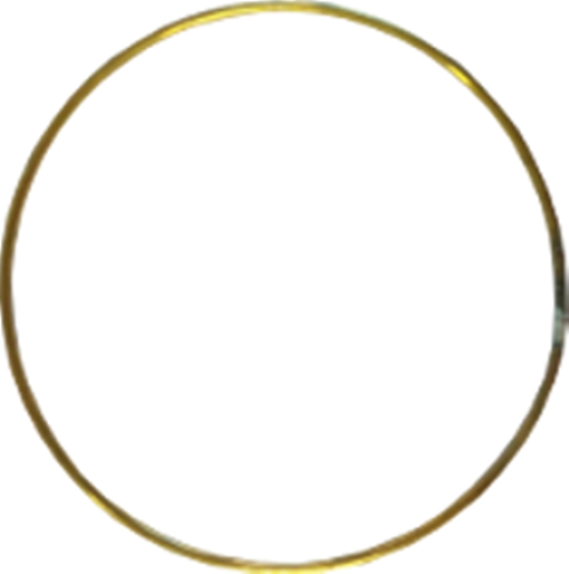 pendants hoop flamenca hoop earrings criollas